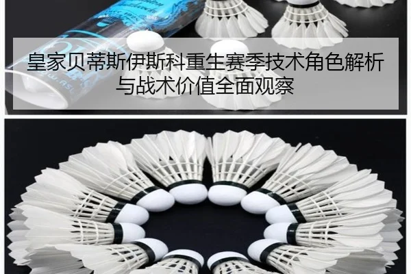 img_1781290269275_1548_1_411.jpg
